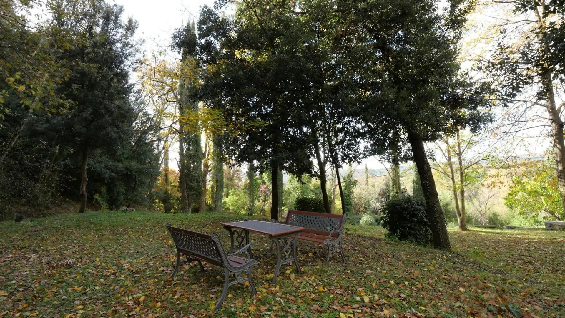 Holiday Home Il Pozzo By Interhome Podere Caminino Italy